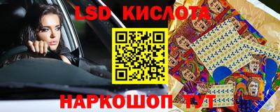 2c-b Кингисепп