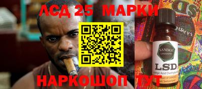 2c-b Кингисепп