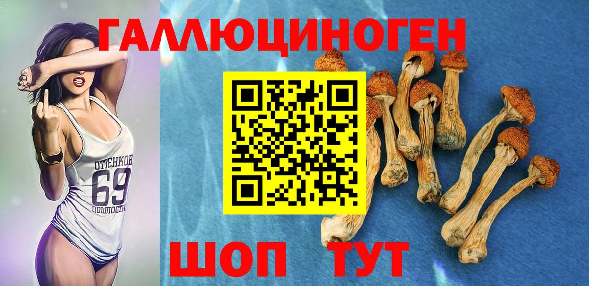 Псилоцибиновые грибы Psilocybe  Галлюциногенные грибы мицелий  Усть-Илимск  Вход с VPN 