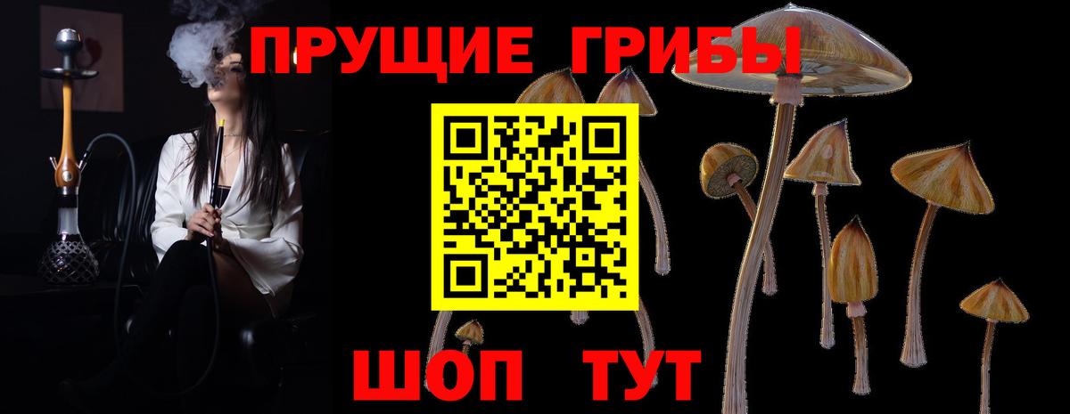 Галлюциногенные грибы мухоморы Усть-Илимск